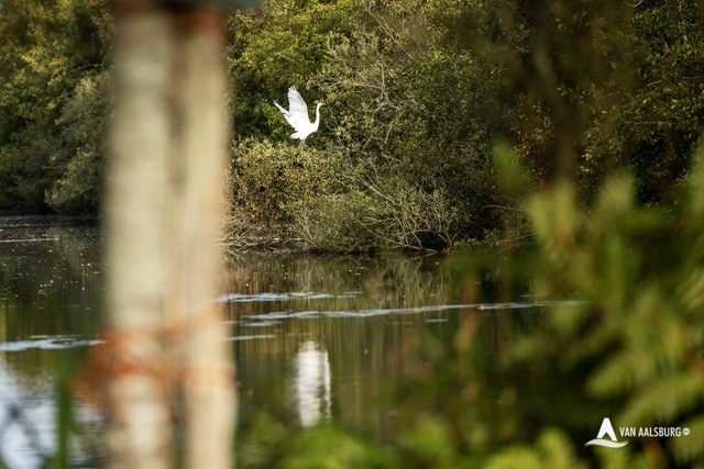 Van Aalsburg B.V., Drie generaties vakmanschap, zichtbaar online